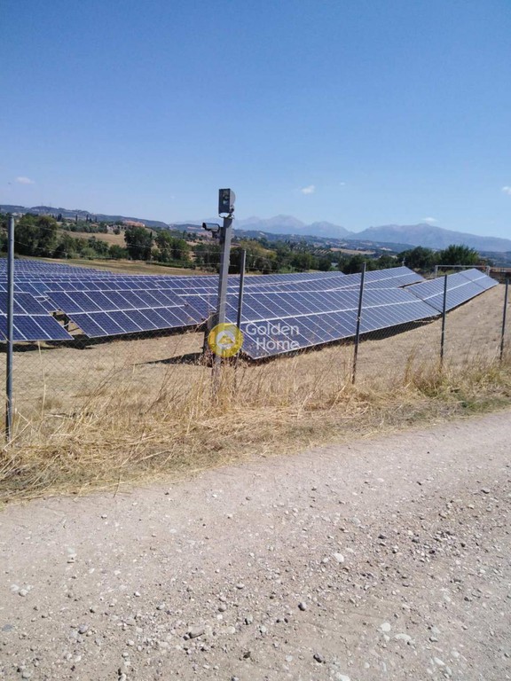 Αγροτεμάχια 33.000 τ.μ. προς πώληση, Άγιος Νικόλαος Πηνείας