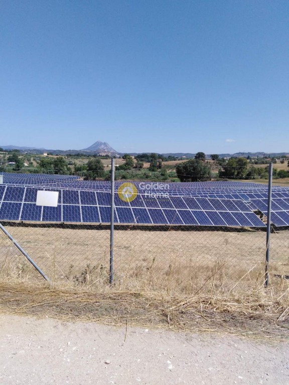 Αγροτεμάχια 33.000 τ.μ. προς πώληση, Άγιος Νικόλαος Πηνείας