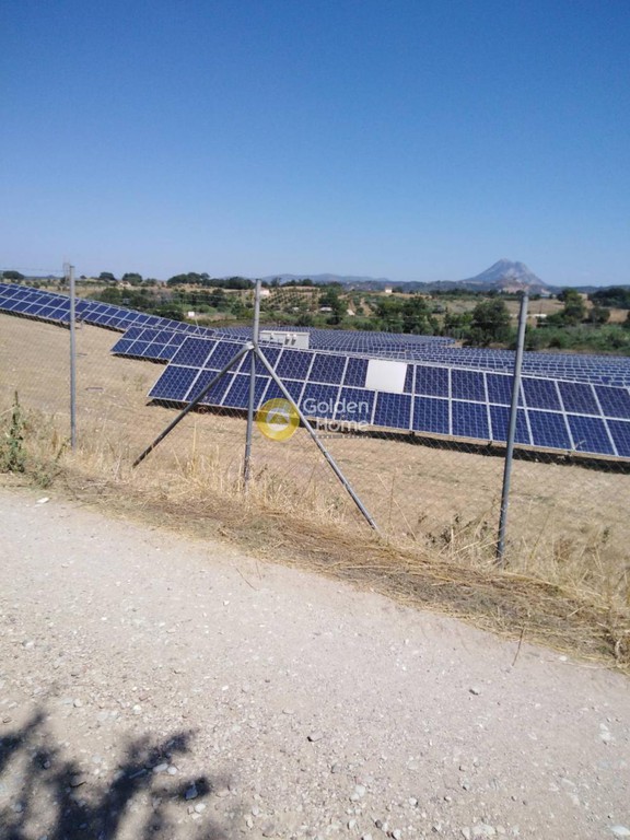 Αγροτεμάχια 33.000 τ.μ. προς πώληση, Άγιος Νικόλαος Πηνείας