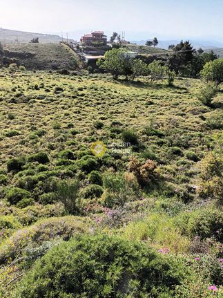 Αγροτεμάχια 13.000 τ.μ. για πώληση, Αθήνα - Ανατολικά Προάστια, Βαρνάβας