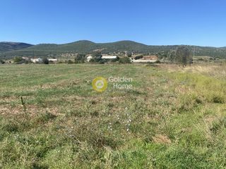 Αγροτεμάχια 5.000 τ.μ. για ενοικίαση, Εύβοια, Δύστος-thumb-7