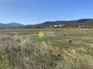 Αγροτεμάχια 5.000 τ.μ. για ενοικίαση, Εύβοια, Δύστος-thumb-15
