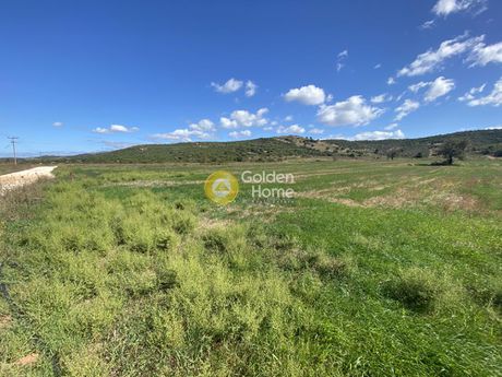 Parcel 5.000sqm for rent-Distos » Lepoira