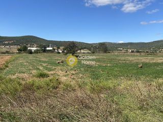 Αγροτεμάχια 5.000 τ.μ. για ενοικίαση, Εύβοια, Δύστος-thumb-13