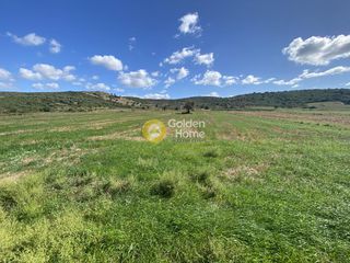 Αγροτεμάχια 5.000 τ.μ. για ενοικίαση, Εύβοια, Δύστος-thumb-3