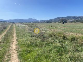 Αγροτεμάχια 5.000 τ.μ. για ενοικίαση, Εύβοια, Δύστος-thumb-10