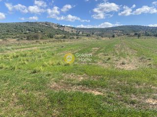 Αγροτεμάχια 5.000 τ.μ. για ενοικίαση, Εύβοια, Δύστος-thumb-8