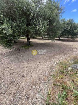 Land plot 730sqm for sale-Gazi » Agioi Theodoroi