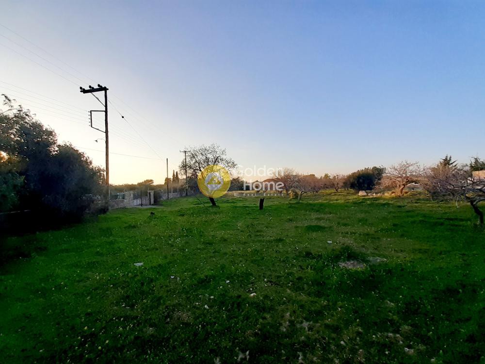 Οικόπεδο 4.000 τ.μ. πρός ενοικίαση, Νησιά Αργοσαρωνικού, Αίγινα
