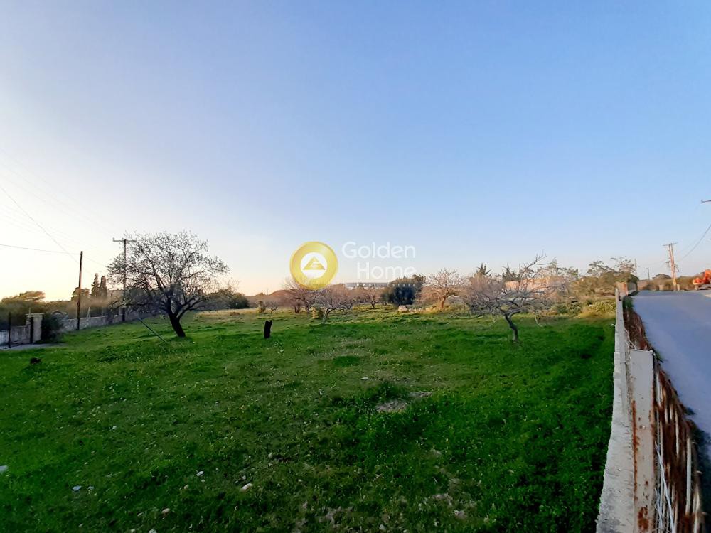 Οικόπεδο 4.000 τ.μ. πρός ενοικίαση, Νησιά Αργοσαρωνικού, Αίγινα