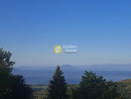 Detached home 219sqm for sale-Milies » Vizitsa