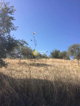 Land plot 1.676sqm for sale-Nemea » Archaia Nemea