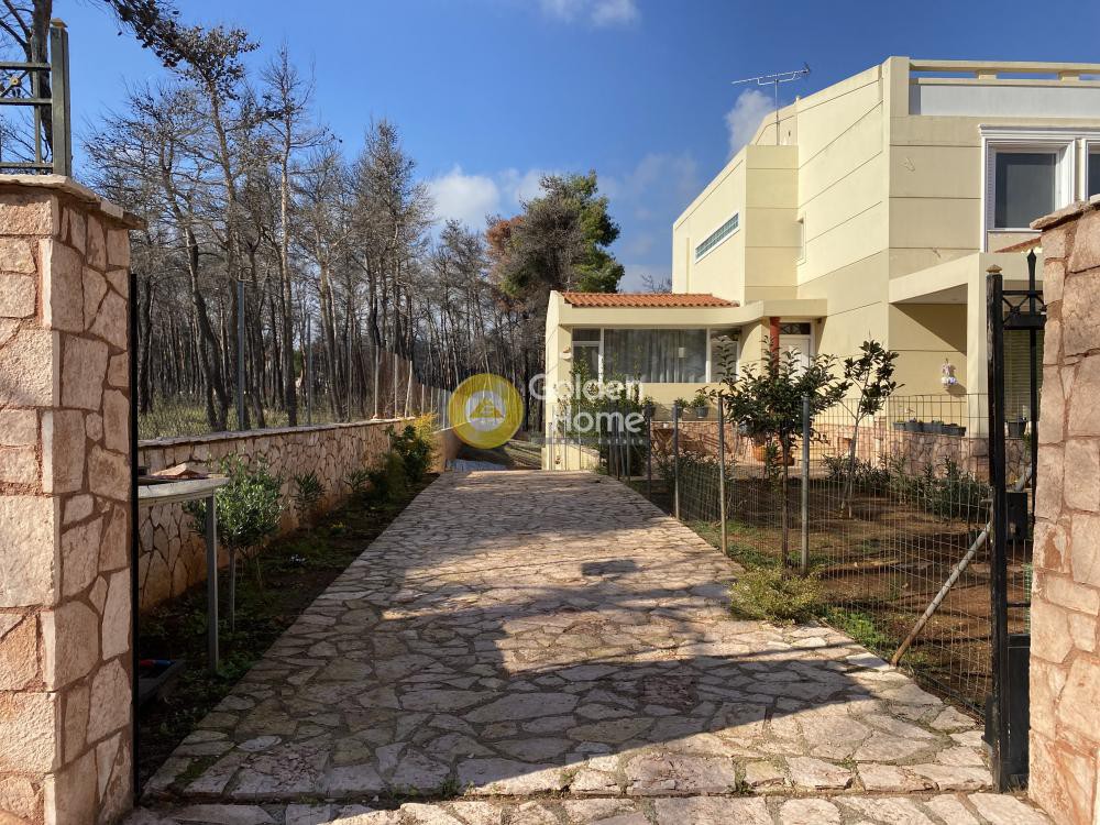Μονοκατοικία 470 τ.μ. πρός πώληση, Αττική - Υπόλοιπο, Αφίδνες