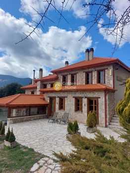 Hotel 480sqm for sale-Arachova » Kalivia
