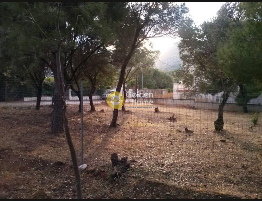 Οικόπεδο 510 τ.μ. πρός πώληση, Αθήνα - Ανατολικά Προάστια, Νέα Μάκρη