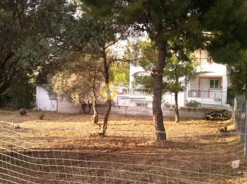 Οικόπεδο 510 τ.μ. πρός πώληση, Αθήνα - Ανατολικά Προάστια, Νέα Μάκρη