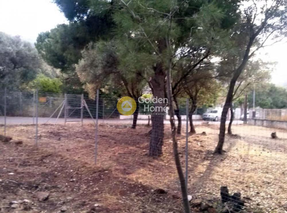 Οικόπεδο 510 τ.μ. πρός πώληση, Αθήνα - Ανατολικά Προάστια, Νέα Μάκρη