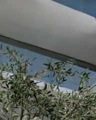 Μονοκατοικία 500 τ.μ. για ενοικίαση