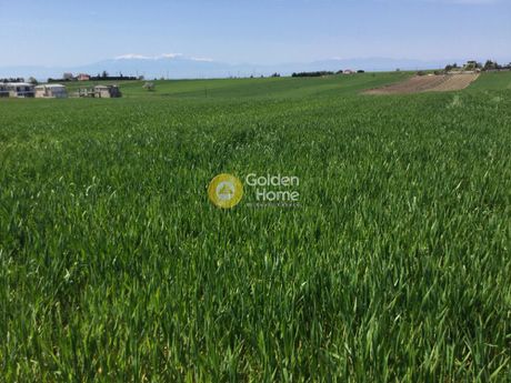 Parcel 10.500sqm for sale-Thermi » Plagiari