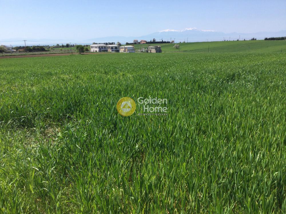 Αγροτεμάχια 10.500 τ.μ. προς πώληση, Πλαγιάρι Θέρμης
