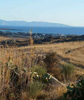 Οικόπεδο 25.000 τ.μ. για πώληση
