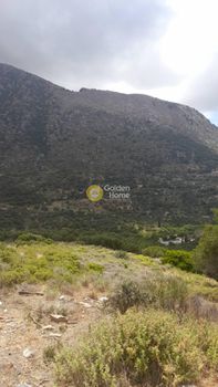 Οικόπεδο 3.000 τ.μ. για πώληση