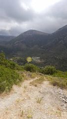 Οικόπεδο 3.000 τ.μ. για πώληση, Ν. Λασιθίου, Βραχάσι-thumb-1