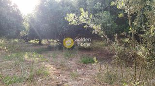 Οικόπεδο 1.616 τ.μ. για πώληση