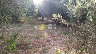 Οικόπεδο 1.616 τ.μ. για πώληση, Ν. Ρεθύμνου, Γεροπόταμος-thumb-2