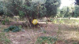 Οικόπεδο 1.616 τ.μ. για πώληση, Ν. Ρεθύμνου, Γεροπόταμος-thumb-1