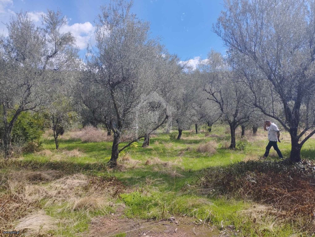Οικόπεδο 3.600 τ.μ. πρός πώληση, Αιτωλοακαρνανία, Θέρμος