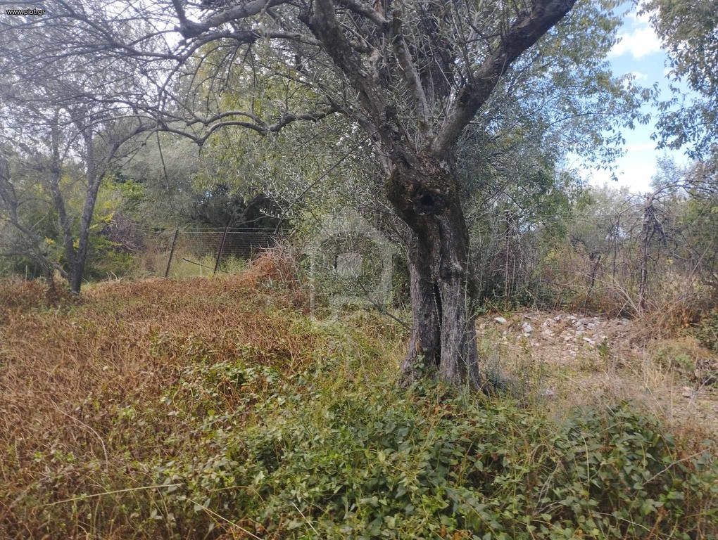Οικόπεδο 3.600 τ.μ. πρός πώληση, Αιτωλοακαρνανία, Θέρμος