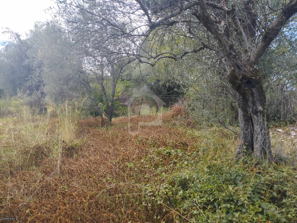 Οικόπεδο 3.600 τ.μ. πρός πώληση, Αιτωλοακαρνανία, Θέρμος