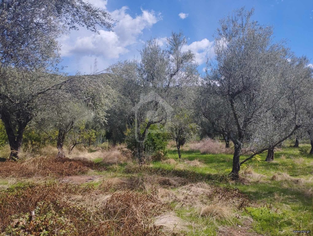 Οικόπεδο 3.600 τ.μ. πρός πώληση, Αιτωλοακαρνανία, Θέρμος