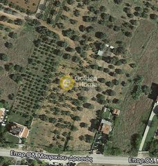 Οικόπεδο 965 τ.μ. για πώληση, Βοιωτία, Θήβα-thumb-4