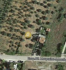 Οικόπεδο 965 τ.μ. για πώληση, Βοιωτία, Θήβα-thumb-2