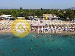 Οικόπεδο 965 τ.μ. για πώληση, Βοιωτία, Θήβα-thumb-12