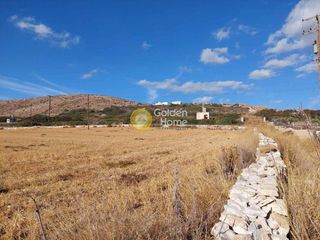 Οικόπεδο 21.734 τ.μ. για πώληση, Κυκλάδες, Πάρος-thumb-5