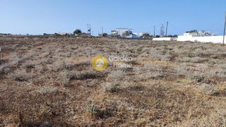 Αγροτεμάχια 7.600 τ.μ. για πώληση