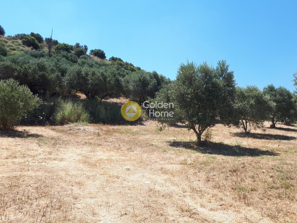 Οικόπεδο 4.000 τ.μ. προς πώληση, Πατσίδες