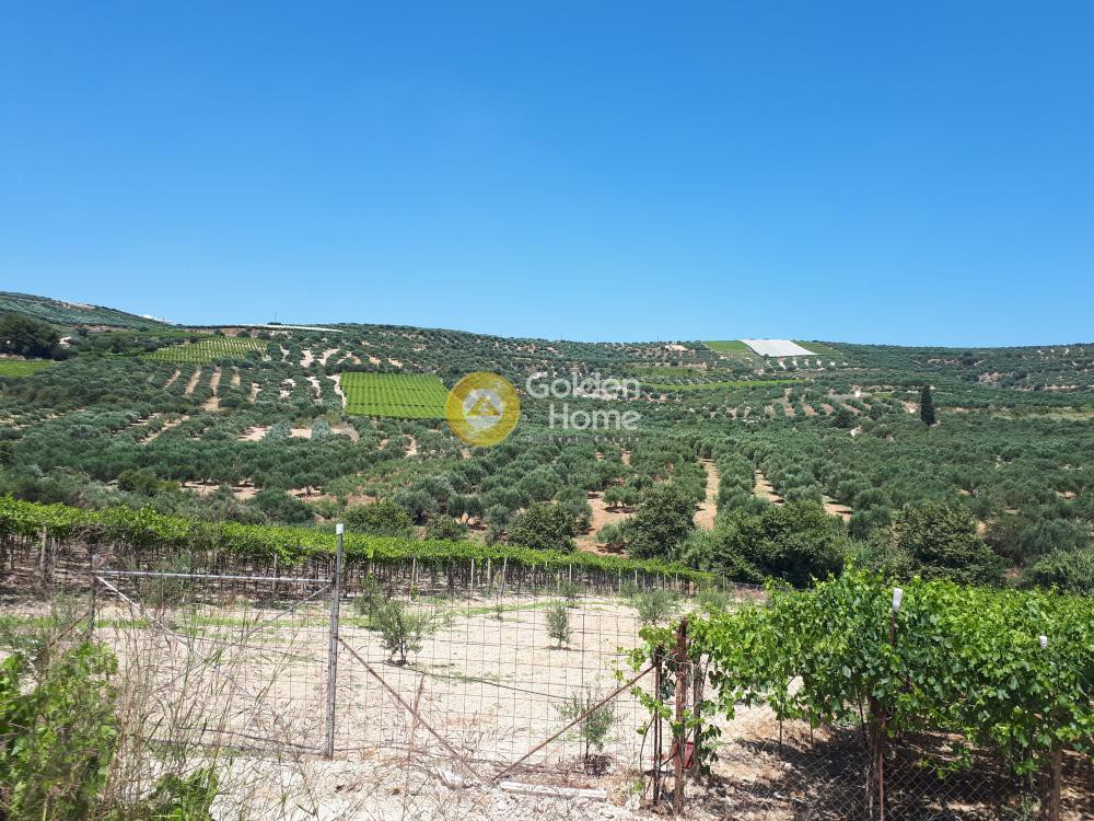 Οικόπεδο 4.000 τ.μ. προς πώληση, Πατσίδες