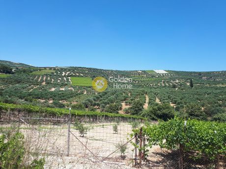 Land plot 4.000sqm for sale-Archanes » Patsides