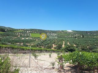 Οικόπεδο 4.000 τ.μ. για πώληση
