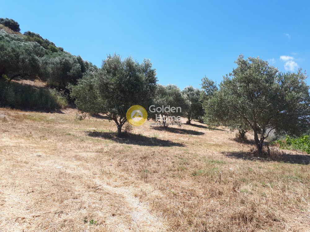 Οικόπεδο 4.000 τ.μ. προς πώληση, Πατσίδες
