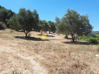 Οικόπεδο 4.000 τ.μ. προς πώληση, Πατσίδες-thumb-5