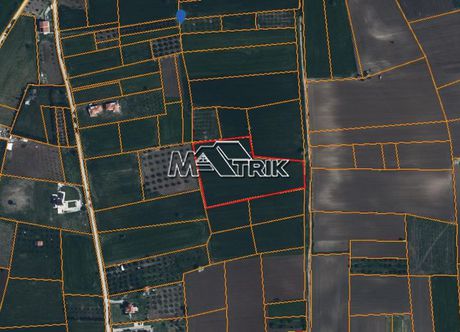 Αγροτεμάχια 11.155τ.μ. για πώληση-Επανομή » Κέντρο