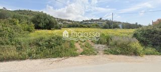 Οικόπεδο 5.569 τ.μ. για πώληση