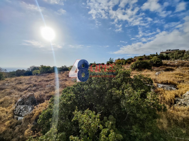 Οικόπεδο 7.103 τ.μ. προς πώληση, Πόλη Χίου