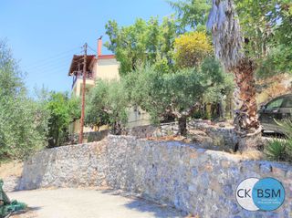 Διαμέρισμα 29 τ.μ. για ενοικίαση, Μεσσηνία, Αβία-thumb-18