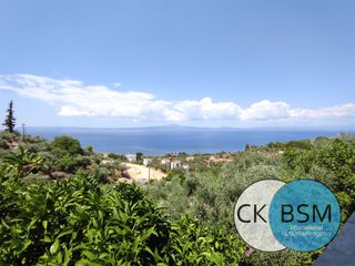 Διαμέρισμα 29 τ.μ. για ενοικίαση, Μεσσηνία, Αβία-thumb-21